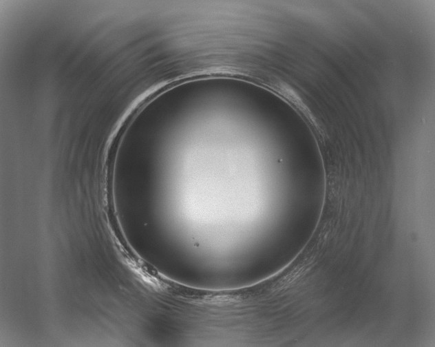 X0000058811140200509301226