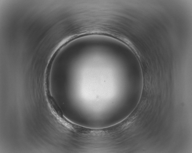 X0000058811142200509301226