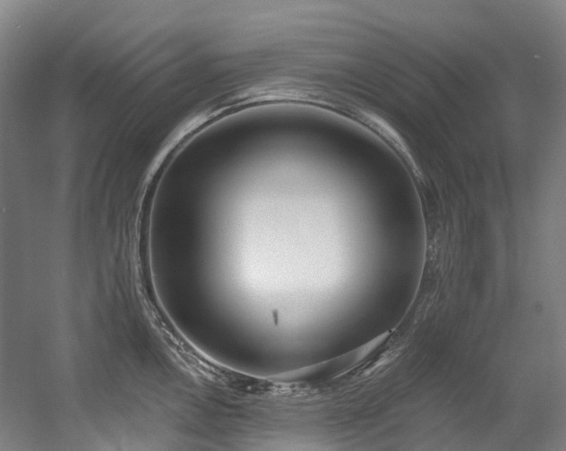 X0000058811146200509301227