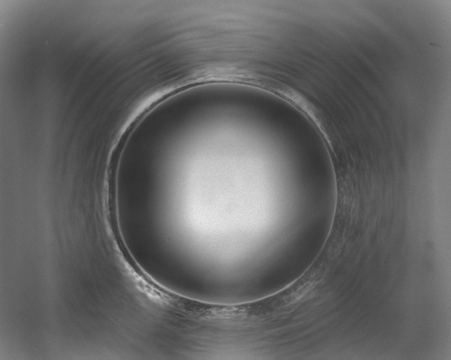 X0000058811147200509301227