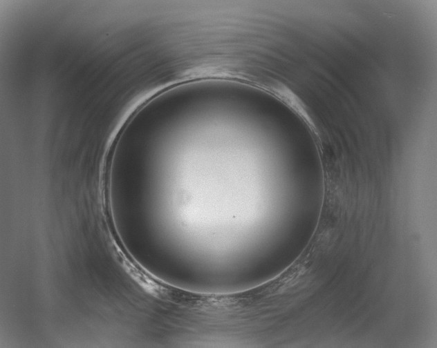 X0000058811148200509301227