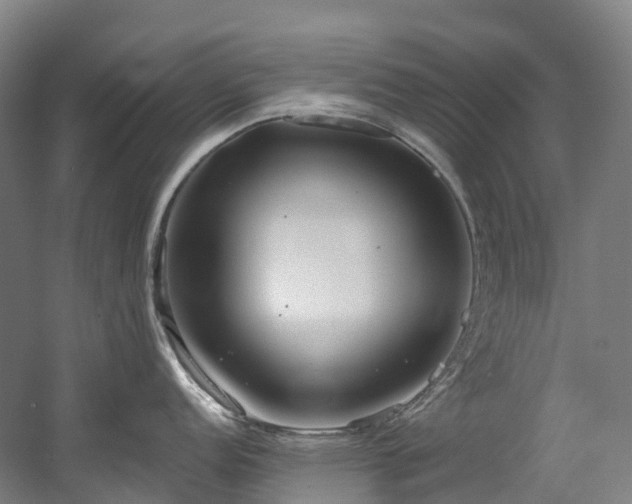 X0000058811152200509301227