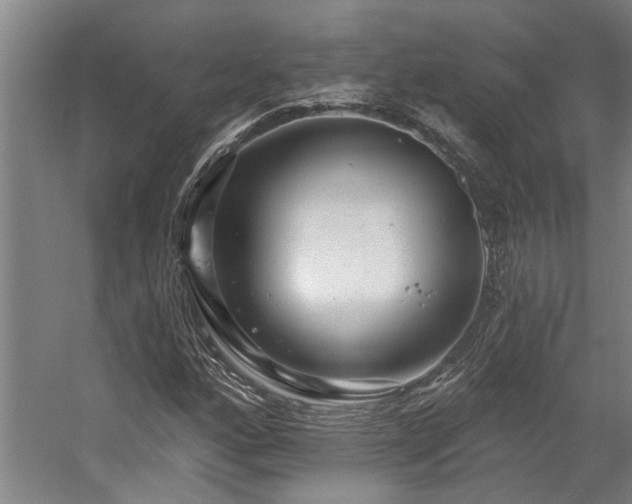 X0000058811160200509301226