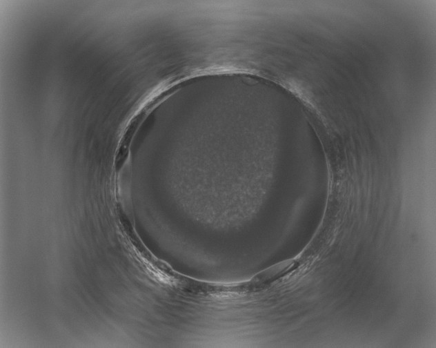 X0000058811173200509301225