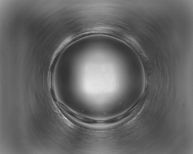 X0000058811180200509301225