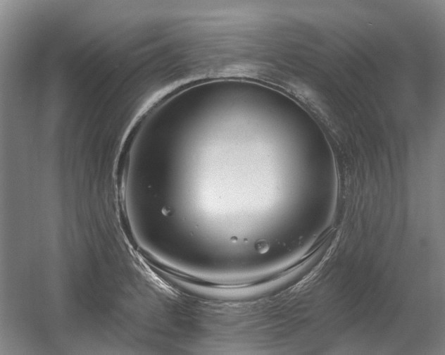 X0000058811184200509301225