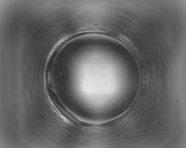 X0000058811188200509301225