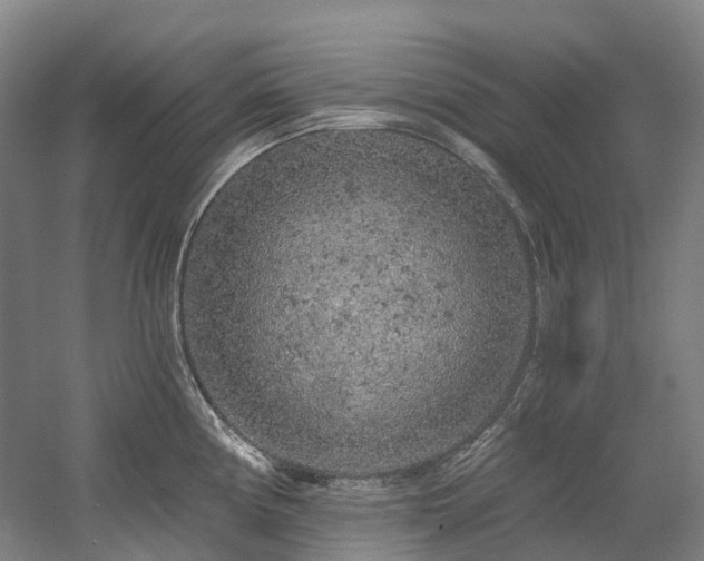 X0000058811194200509301225