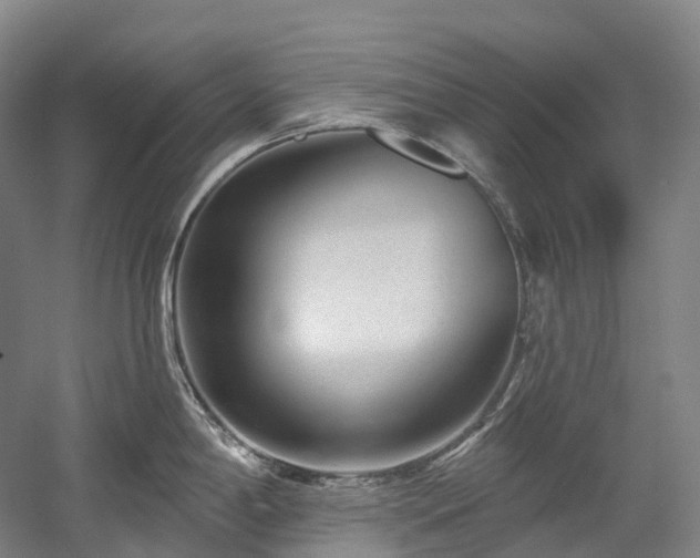 X0000058811198200509301225