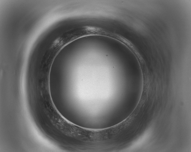 X0000058811199200509301225