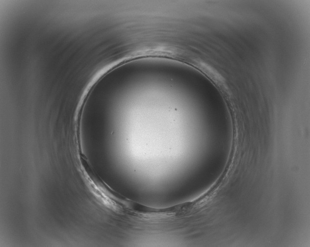 X0000058811200200509301225