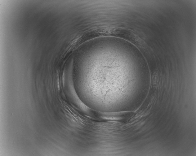 X0000058811202200509301224