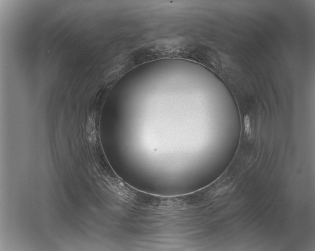 X0000058811203200509301224