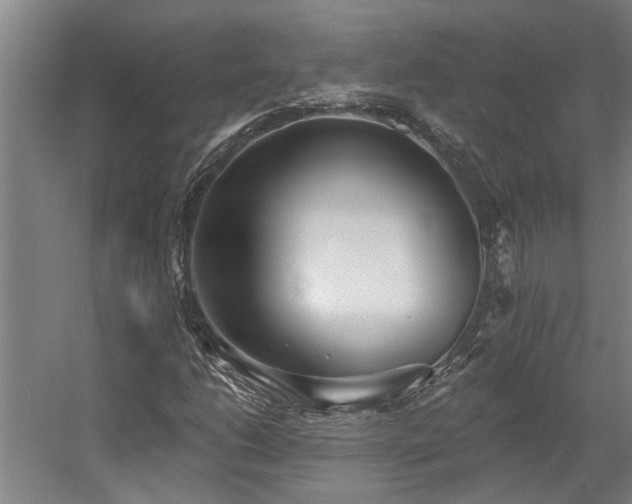 X0000058811206200509301224