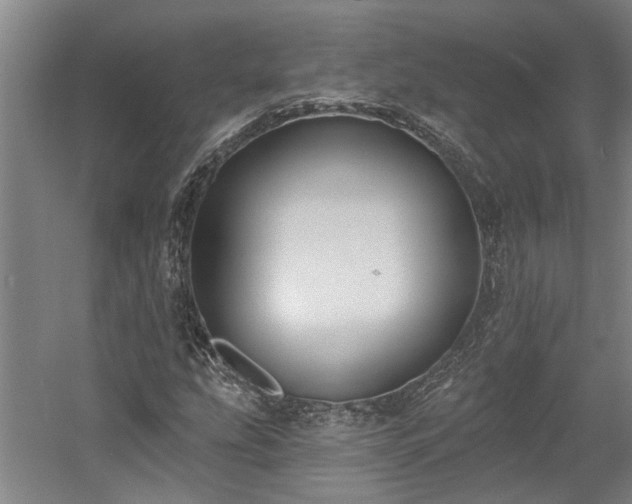 X0000058811207200509301224