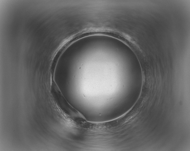 X0000058811221200509301225