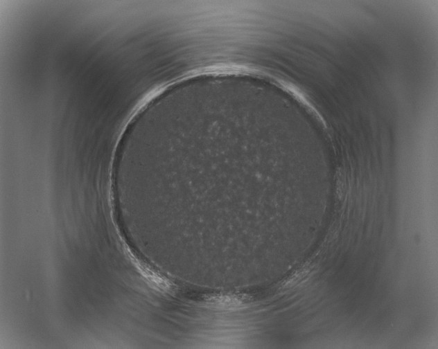 X0000058811229200509301225