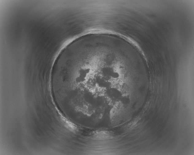 X0000058811231200509301225