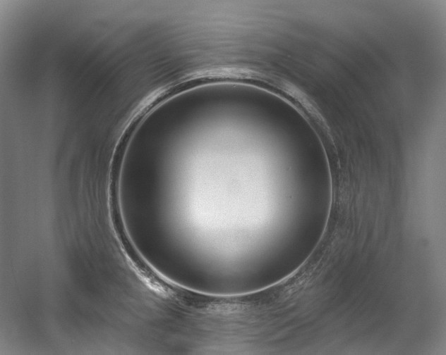 X0000058811237200509301225