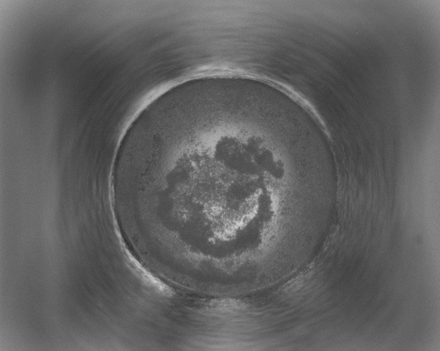 X0000058811239200509301225