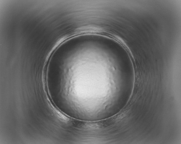 X0000058811243200509301225