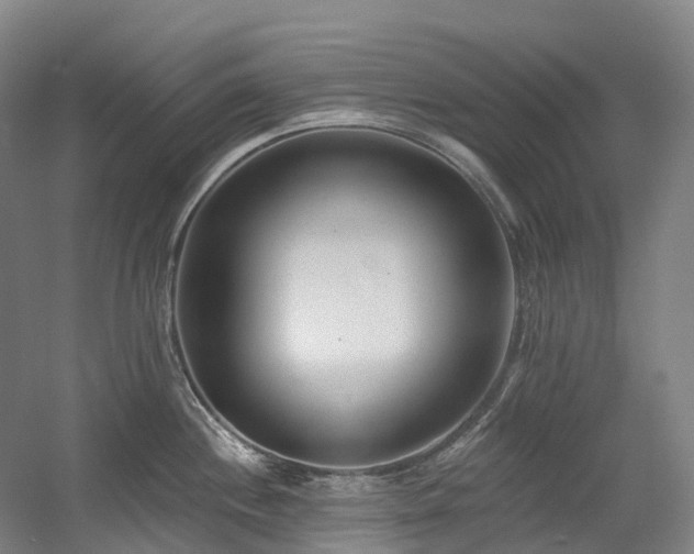 X0000058811244200509301225