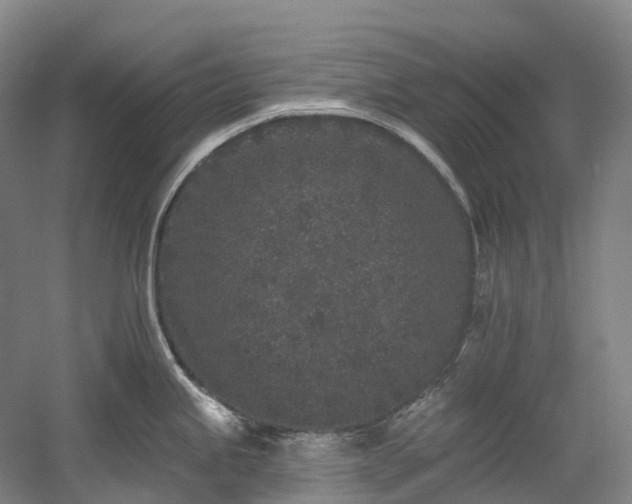 X0000058811245200509301225