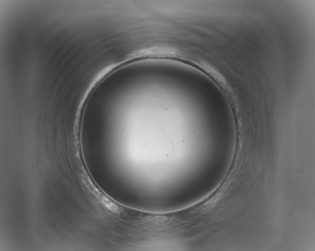 X0000058811248200509301225