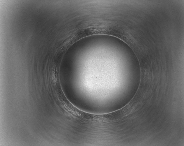 X0000058811250200509301224