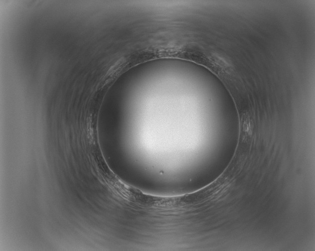 X0000058811252200509301224