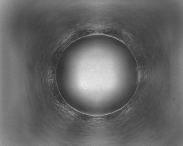 X0000058811253200509301224