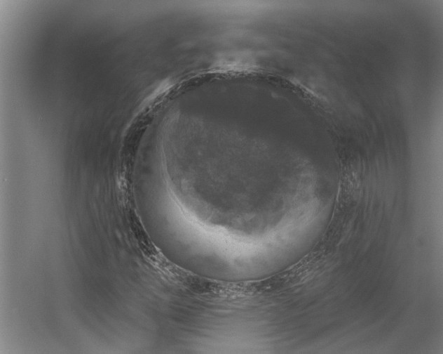 X0000058811254200509301224