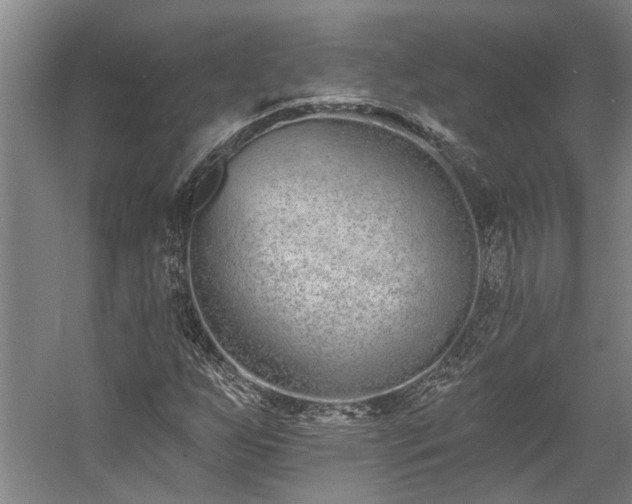 X0000058811255200509301224