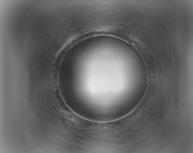 X0000058811256200509301224