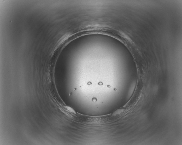 X0000058811259200509301224