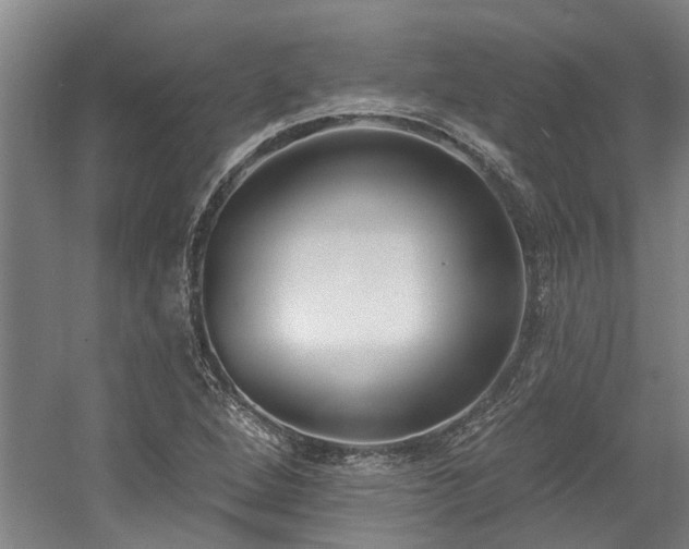 X0000058811264200509301224