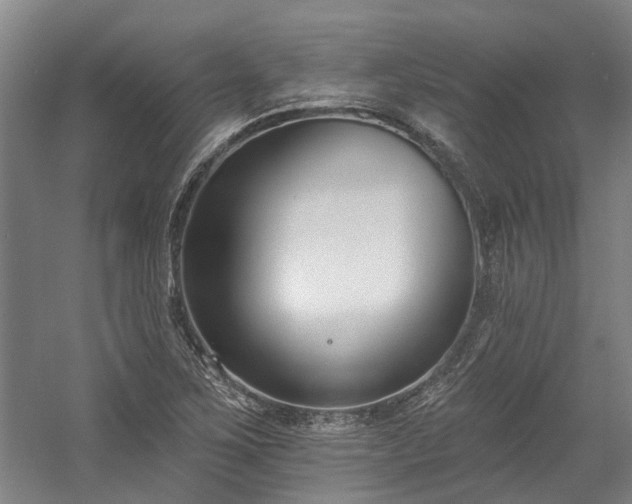 X0000058811267200509301224