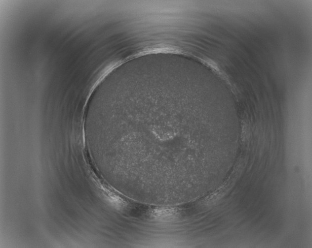 X0000058811274200509301224