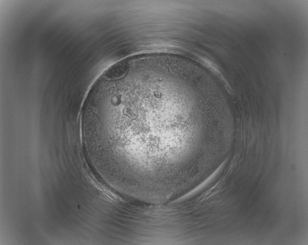 X0000058811275200509301224