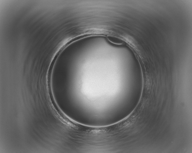 X0000058811283200509301224