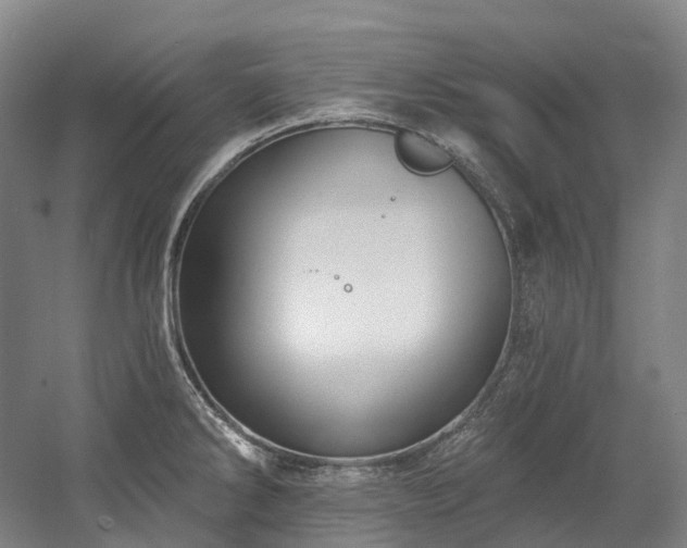 X0000058811286200509301224