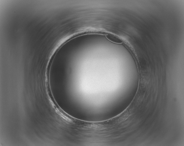 X0000058811287200509301224