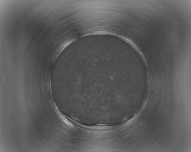 X0000058811289200509301223