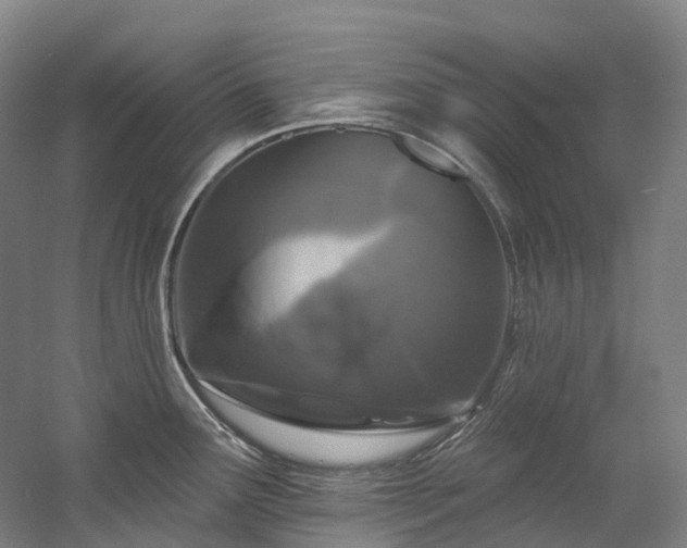 X0000058811291200509301223