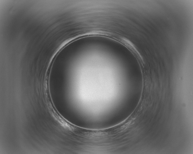 X0000058811292200509301223