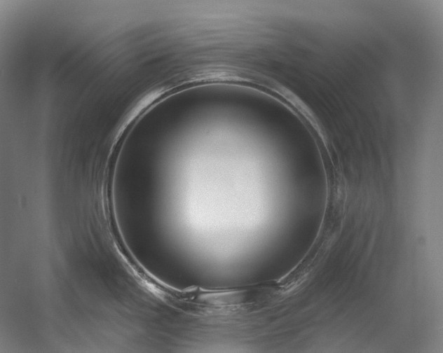 X0000058811293200509301223