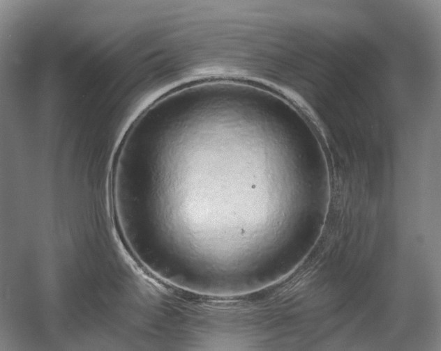 X0000058811295200509301223