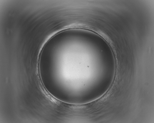 X0000058811296200509301223