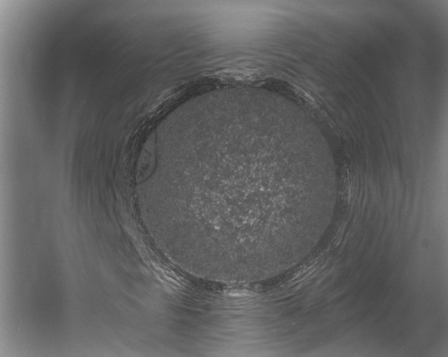 X0000058811297200509301223