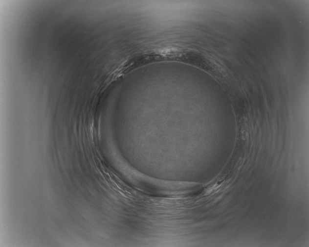 X0000058811298200509301223